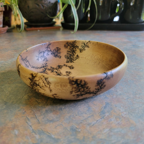 6" curved simple bowl