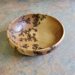 6" curved simple bowl