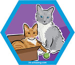 Ginger kitten in cardboard box and Siamese cat on hexagon magnet, I'm amazing magnetic personality