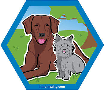 small gray terrier and large brown dog on hexagon magnet, I'm amazing magnetic personality