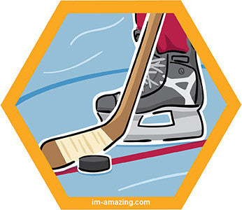 hockey pucks, stick and skate on hexagon magnet, I'm amazing magnetic personality