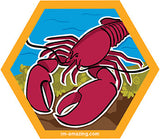 Maine lobster on rocks and seaweed on hexagon magnet