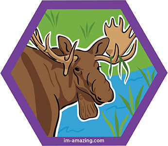 bull moose in pond on hexagon magnet