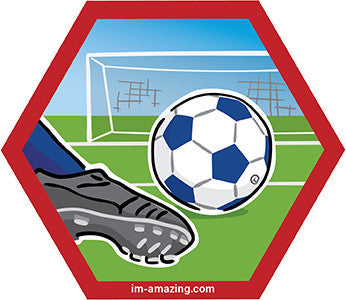 soccer ball, cleat kicking and net on hexagon magnet